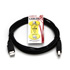 USB cable (2.0), USB A M- USB B M, 3m, black, Logo